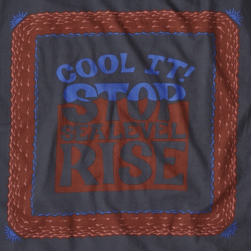 NWT Patagonia Bandana